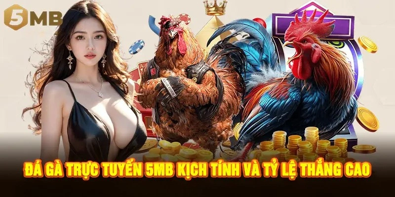 Đá gà trực tuyến 5MB kịch tính và tỷ lệ thắng cao